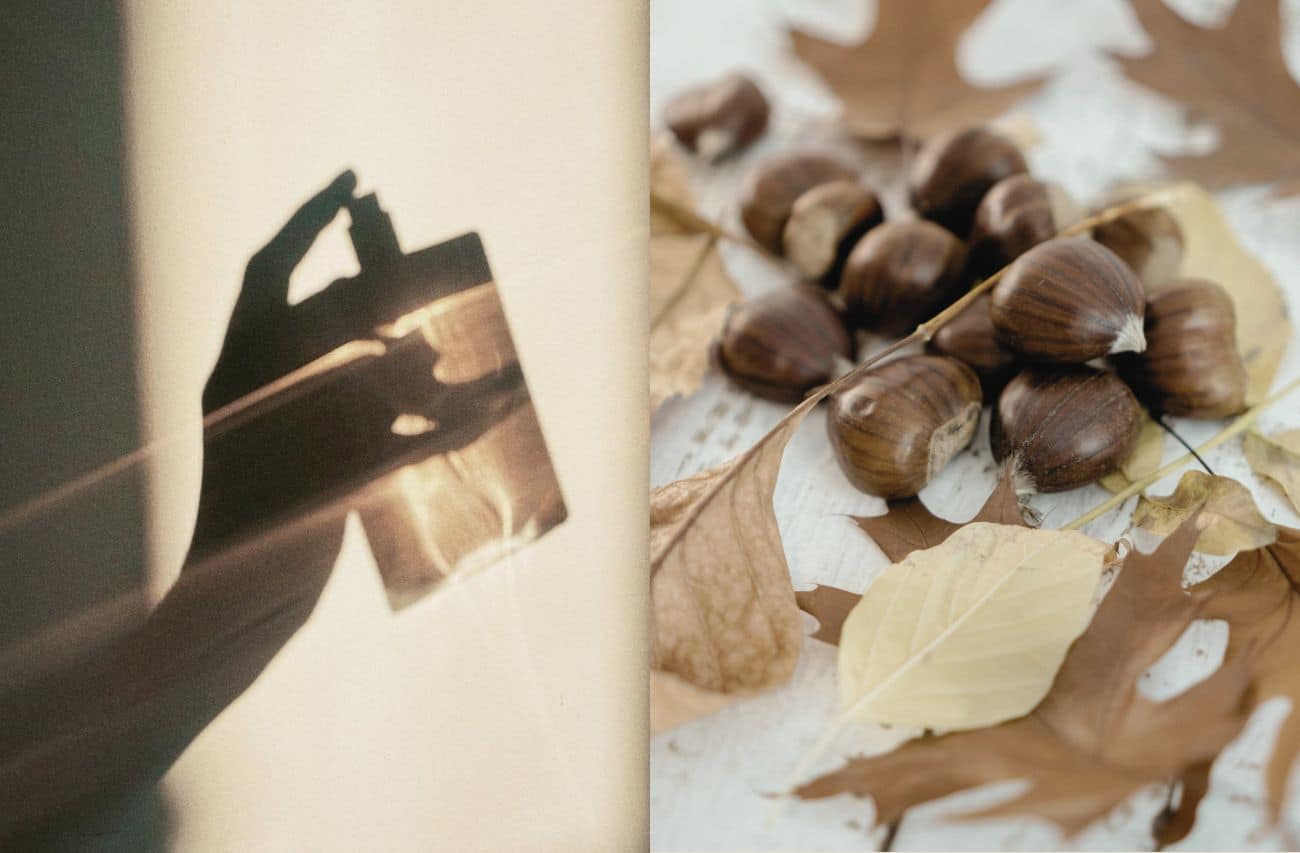 parfemi sa notom kestena