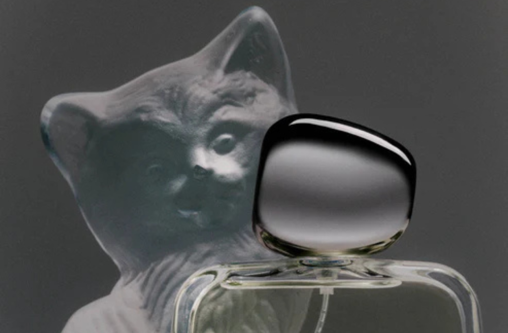 "kitten perfumes"